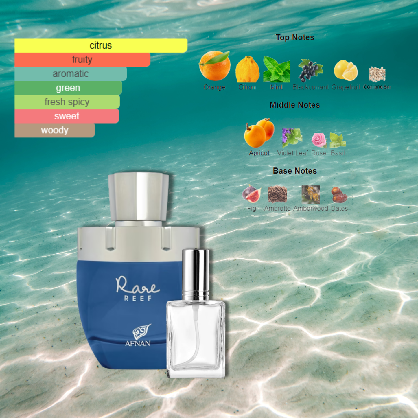Rare Reef Afnan Decants by King of Clones