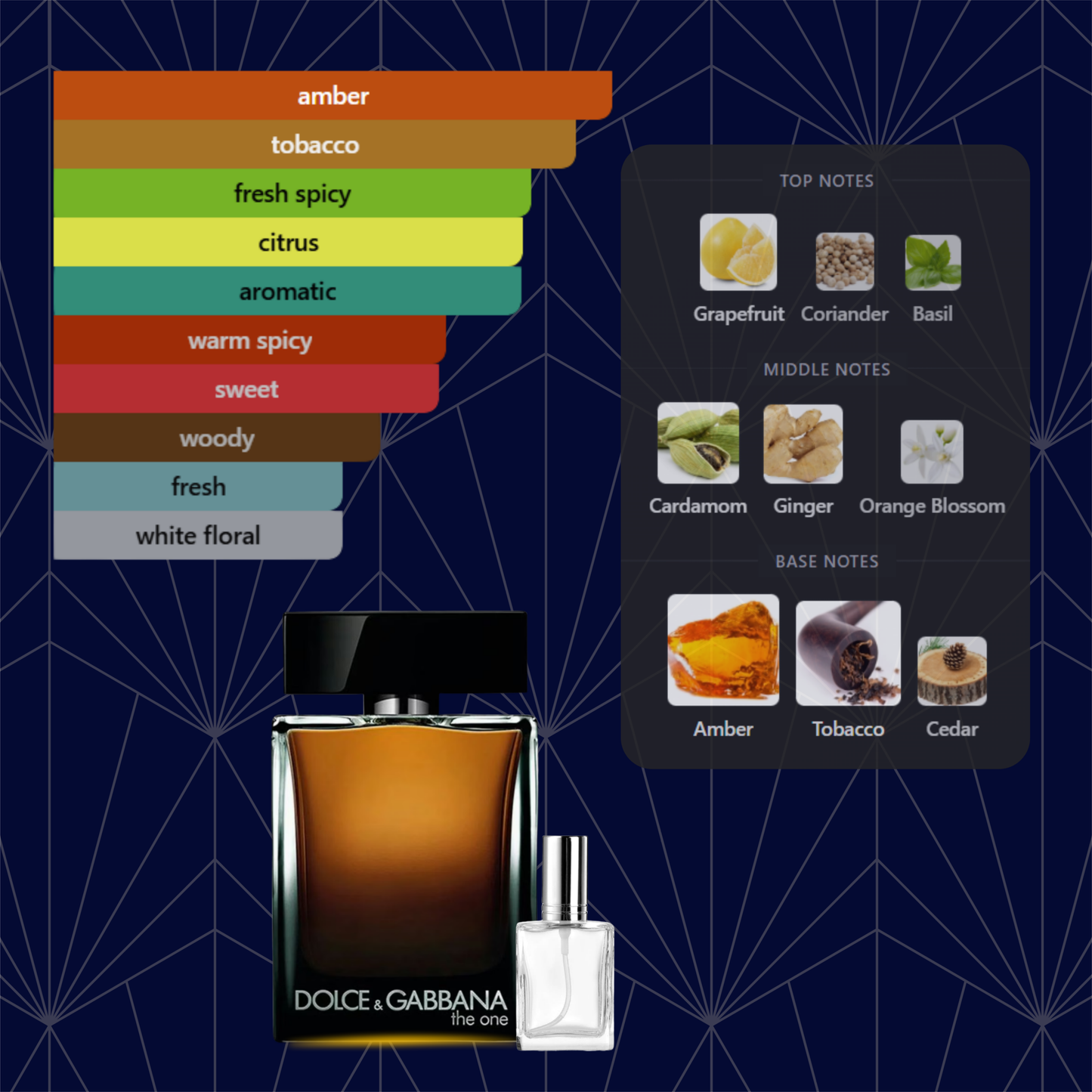 The One for Men EDP by Dolce&Gabbana Decants by King of Clones