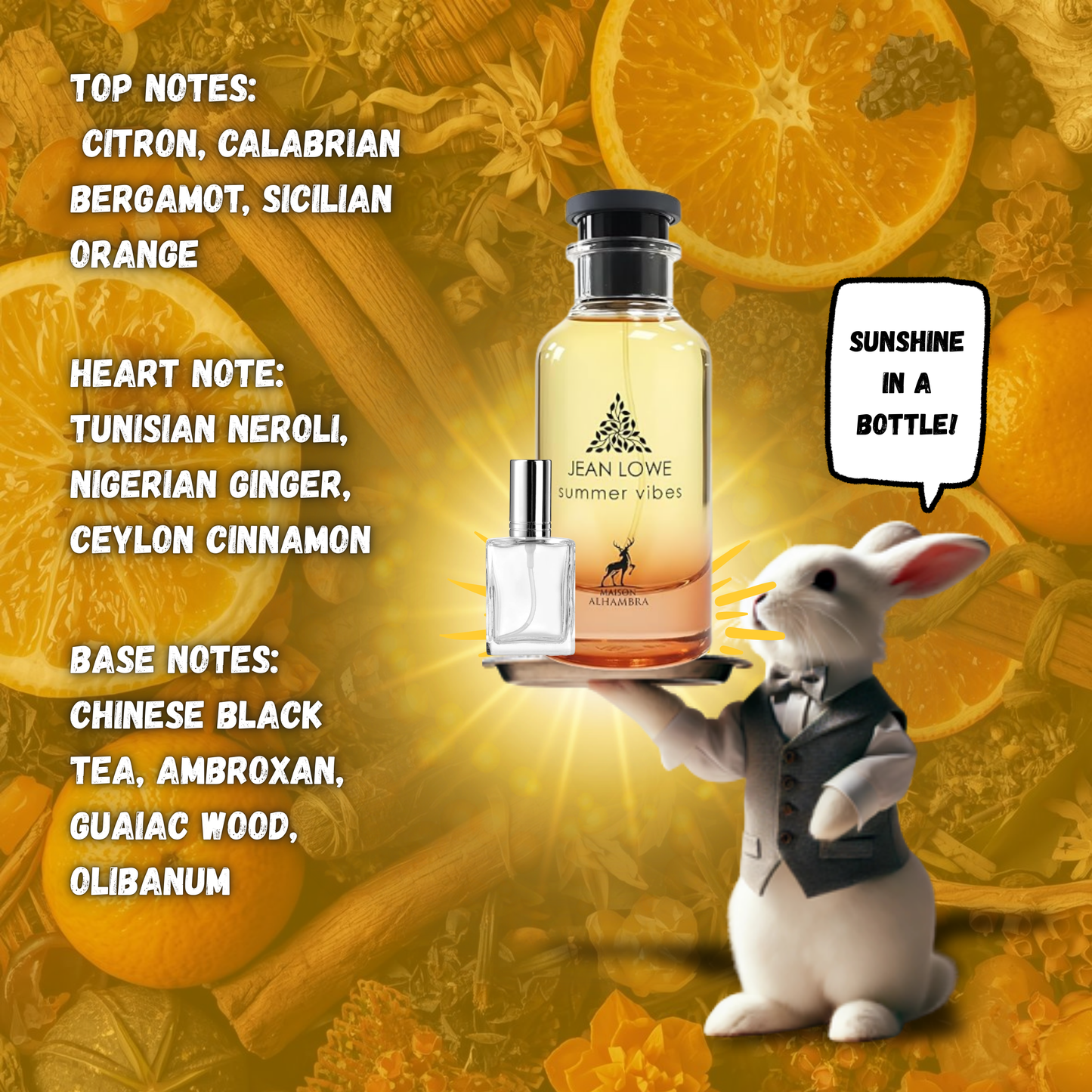 Jean Lowe Summer Vibes by Maison Alhambra Decants by King of Clones